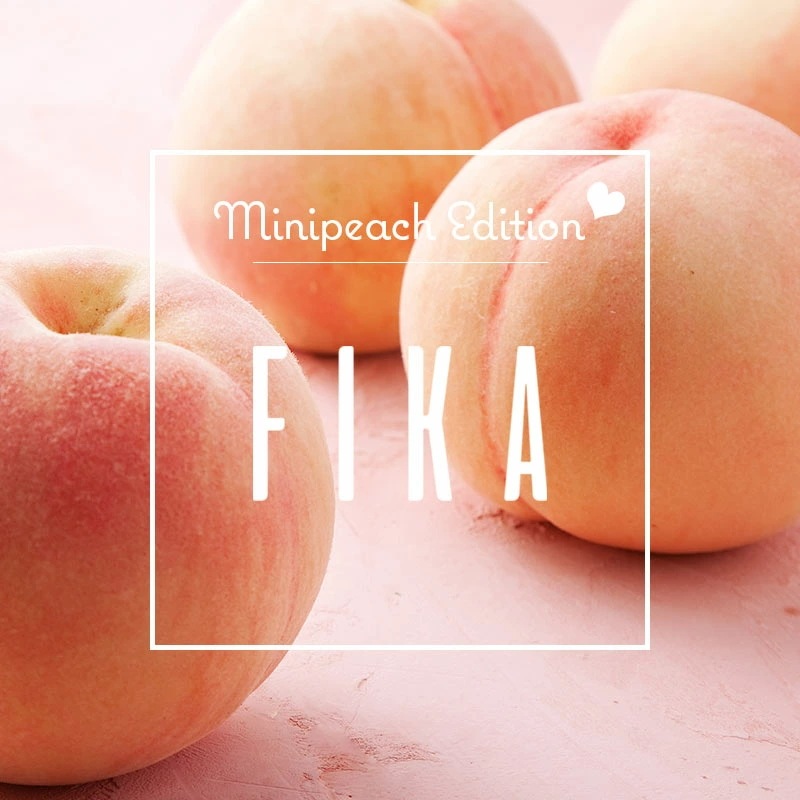 【FIKA公式店】FIKA ピーチピンク フライパン 18cm セラミック くっつかない 木製ハンドル IH 対応 ガス コンロ 対応 韓国ブランド アルミ おしゃれ 可愛い 綺麗 北欧 デザイン ピ 【FIKA公式店】FIKA ピーチピンク フライパン 18cm セラミック くっつかない 木製ハンドル IH 対応 ガス コンロ 対応 韓国ブランド アルミ おしゃれ 可愛い 綺麗 北欧 デザイン ピ