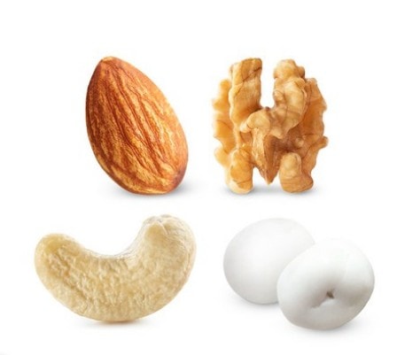 ナットズームヨーグルトストールタイプ ナットズームヨーグルトストールタイプ