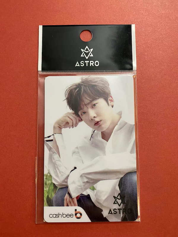 astro　ユンサナ　サナ　ウヌ　チャウヌ　交通カード cash bee 차 은우 イドンミン 李 東敏 Cha Eun-woo