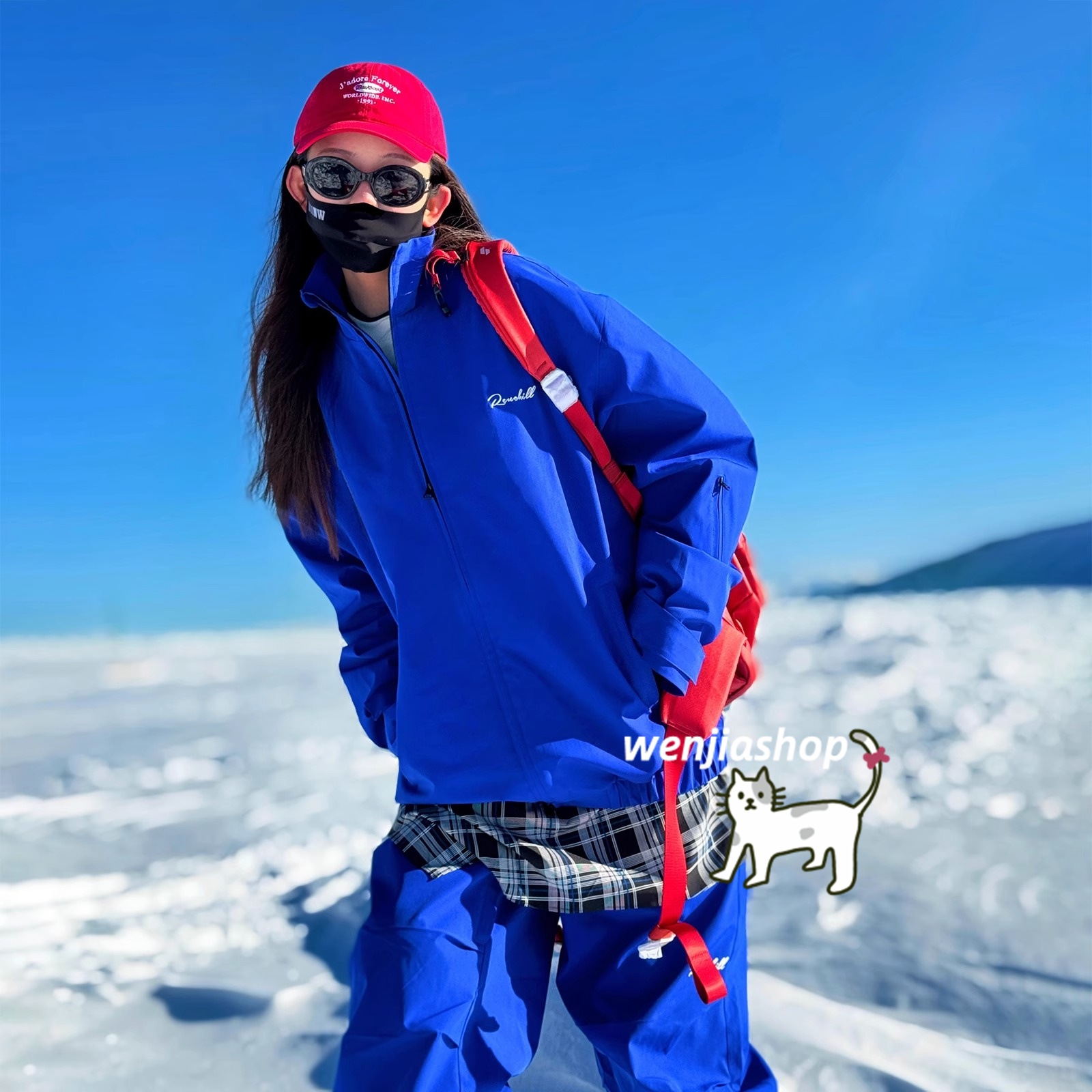 新品 スノーウェア 上下 レディース セットアップ ブルー ピンク Ｌ 新品 スノーウェア 上下 レディース セットアップ ブルー ピンク L