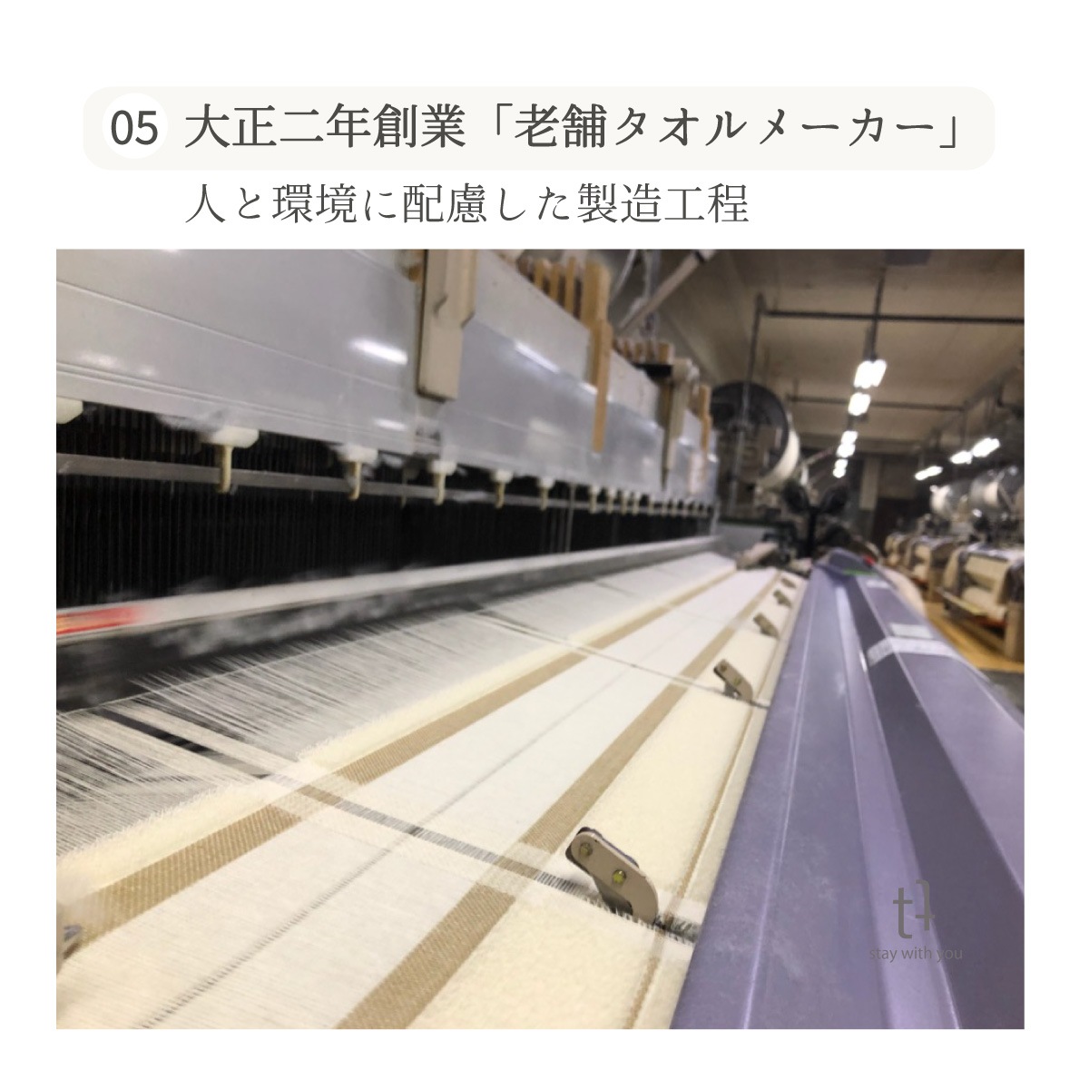 やさしさホワイト フェイスタオル 60枚組 【薄手】 34cm x 85cm 62g やさしさホワイト フェイスタオル 60枚組 【薄手】 34cm x 85cm 62g