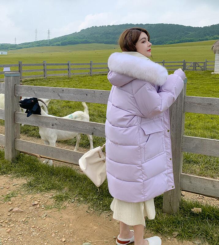 ダウンコート 中綿コート 韓国風 フード付き 大人 コート フェイクファー付き 厚手 中綿ジャケット ダウンジャケット シンプル 着痩せ アウター 綿入り 女性用 ロング丈 レディース きれいめ ブル mdprevattcaulkingandwaterproofing.com