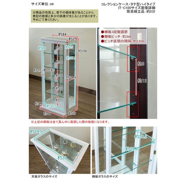 コレクションボックス 整理用品 小物入れ インテリア雑貨 家具 インテリア コレクションケース WW