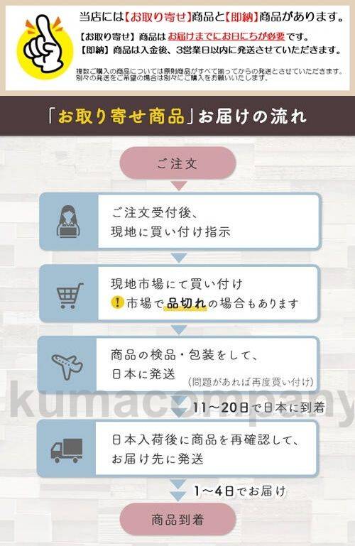レディース 水着 長袖 ワンピース フリル シアー おしゃれ スイムウェア 体型カバー エレガント リゾート 海 プール 夏 フェミニン きれいめ 大人 可愛い 二の腕カバー 韓国 ホワイト 白 ブラ レディース 水着 長袖 ワンピース フリル シアー おしゃれ スイムウェア 体型カバー エレガント リゾート 海 プール 夏 フェミニン きれいめ 大人 可愛い 二の腕カバー 韓国 ホワイト 白 ブラ