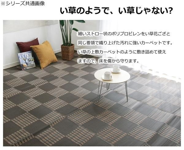 洗える PPカーペット 『ウィード』 ネイビー 本間4.5畳(約286.5×286cm) 2121514 洗える PPカーペット 『ウィード』 ネイビー 本間4.5畳(約286.5×286cm) 2121514