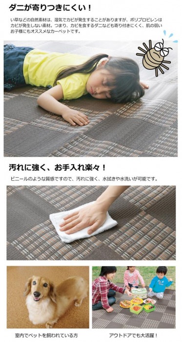 洗える PPカーペット 『ウィード』 ネイビー 本間4.5畳(約286.5×286cm) 2121514 洗える PPカーペット 『ウィード』 ネイビー 本間4.5畳(約286.5×286cm) 2121514