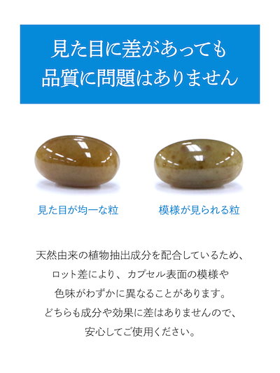 臭ピタッ！21600円相当 楽天市場】 お得なおまとめセット : 臭ピタッ！楽天市場店