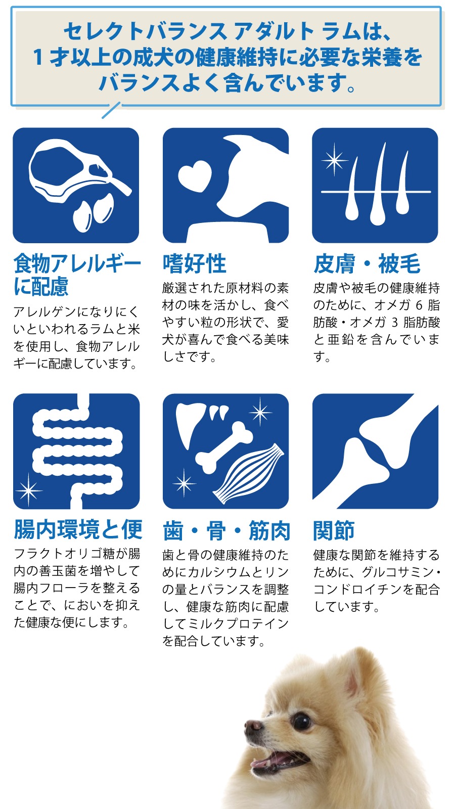 ドッグフード アダルト ラム 小粒3kg【ph13.2強アルカリ電解水100ml付き】 ドッグフード アダルト ラム 小粒3kg【ph13.2強アルカリ電解水100ml付き】