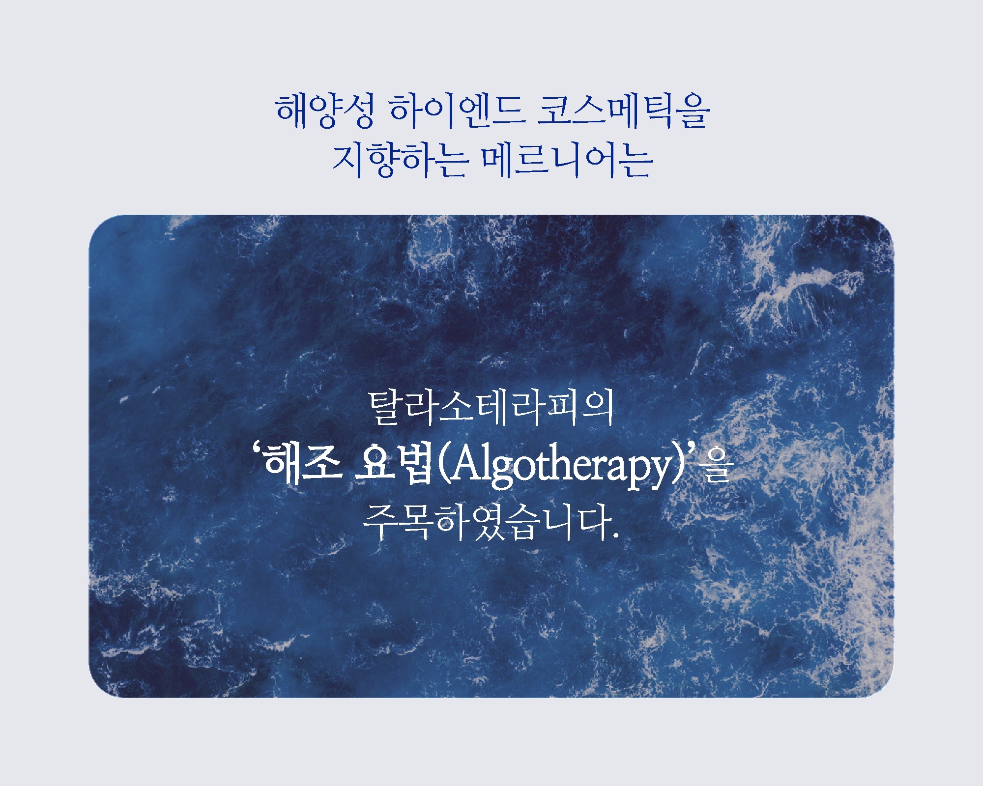 メルニアメルピオールパウダー北極パックモデリングパック650g+パックツール + マスクパックをプレゼント メルニアメルピオールパウダー北極パックモデリングパック650g+パックツール + マスクパックをプレゼント