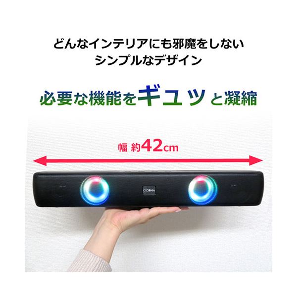 センター商事 CICONIA サウンドバー 幅42cm LT-2209