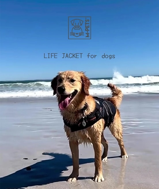 【M-PETS】ライフジャケット　Мサイズ