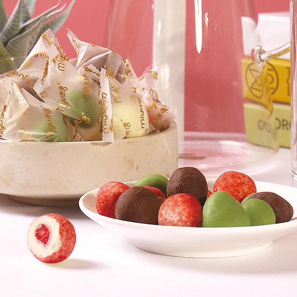 いちごチョコ このこのごはん ドライフード 1キロ✖️2袋 楽天市場