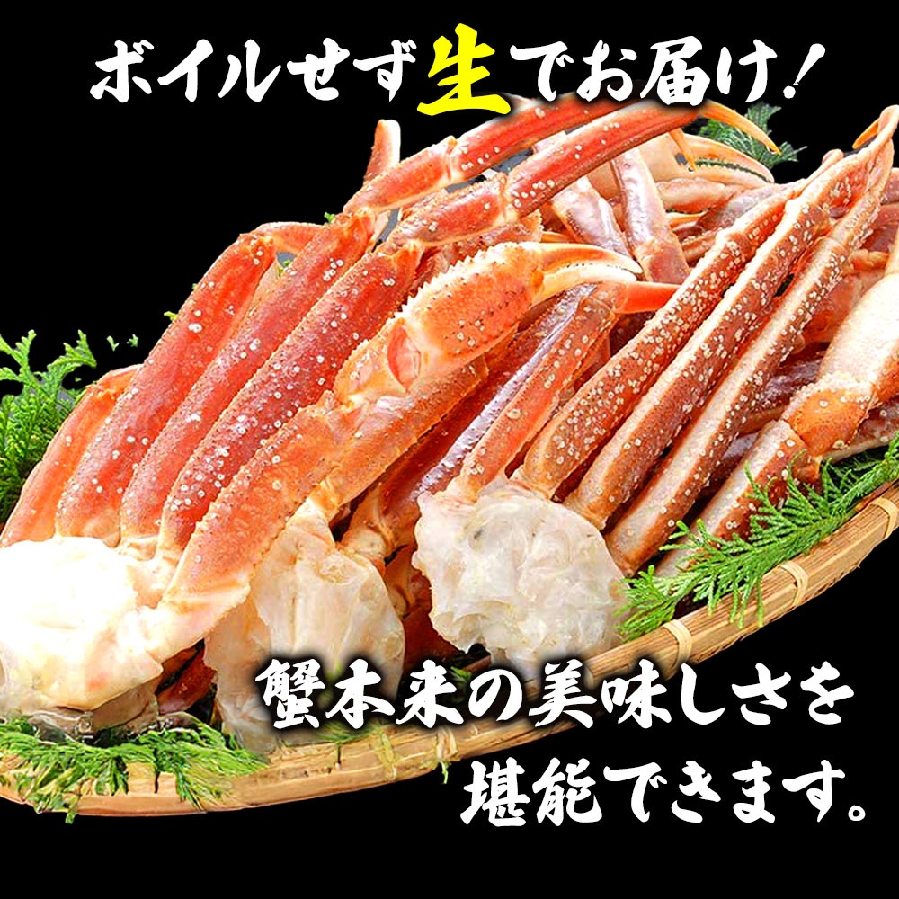 【メガ割対象商品!!】蟹 カニ ズワイガニ 5L ずわい蟹 ボイルズワイ蟹 ズワイ肩付き脚 1.5kg かにつめ カニしゃぶ カニ鍋 お歳暮 ギフト shr-026