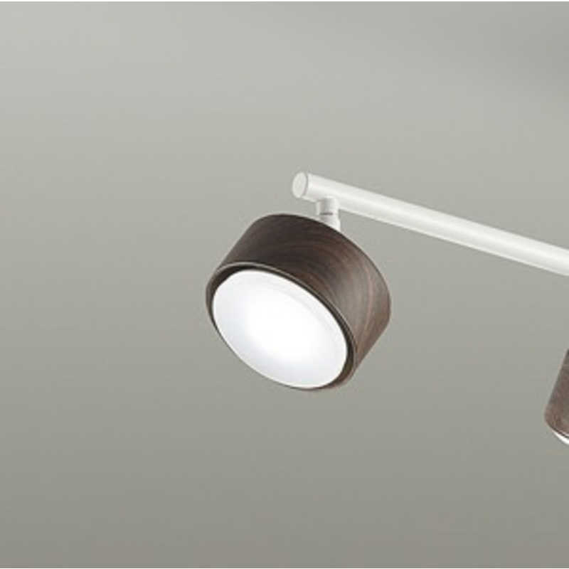 大光電機　LEDロッドスポット　DXL-81369