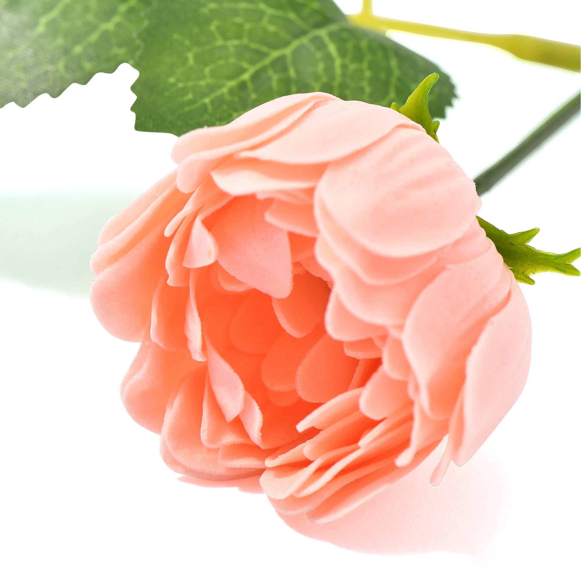 Francfranc フランフラン セレーナ ボディケアギフトセット LL (ソフトサボン) Francfranc フランフラン セレーナ ボディケアギフトセット LL (ソフトサボン)