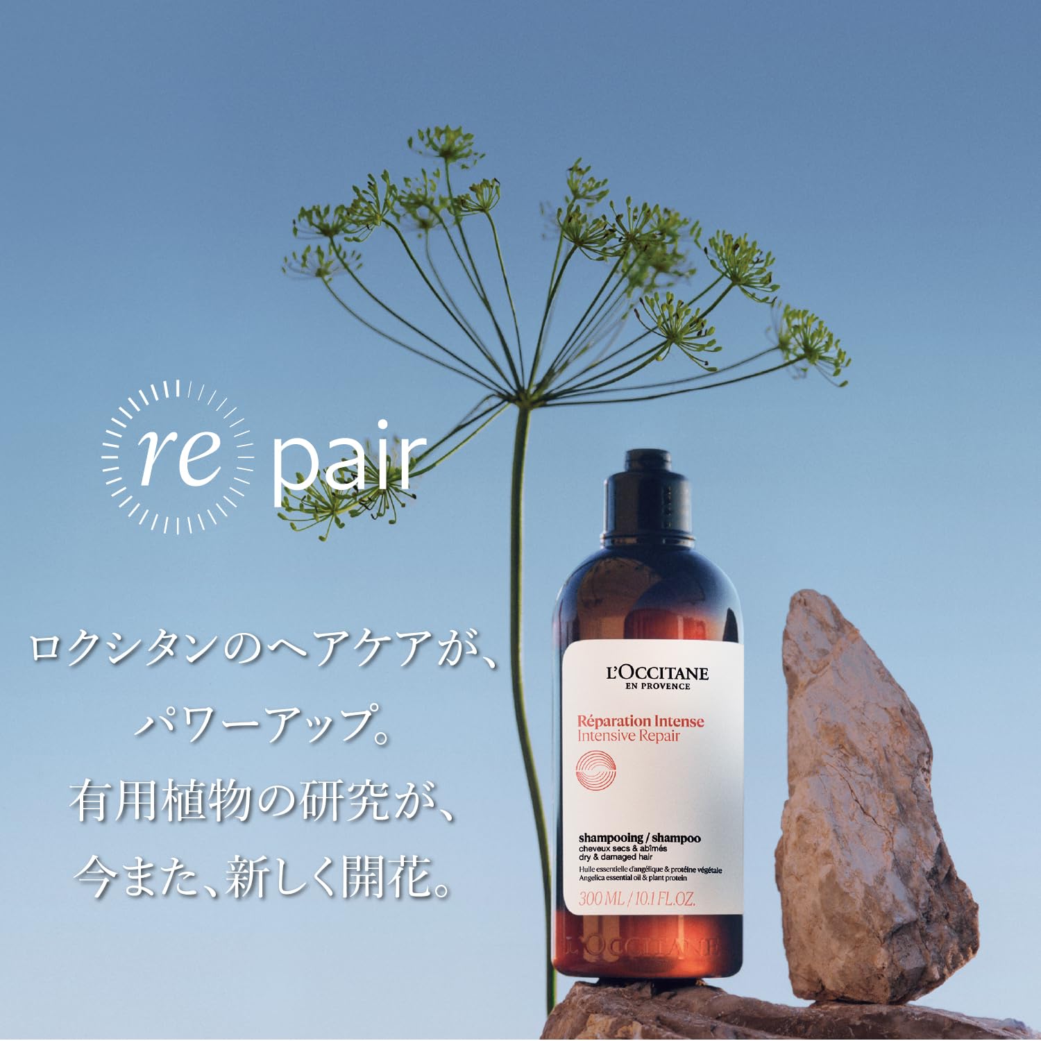 ロクシタン ファイブハーブス R コンディショナー つめかえ用