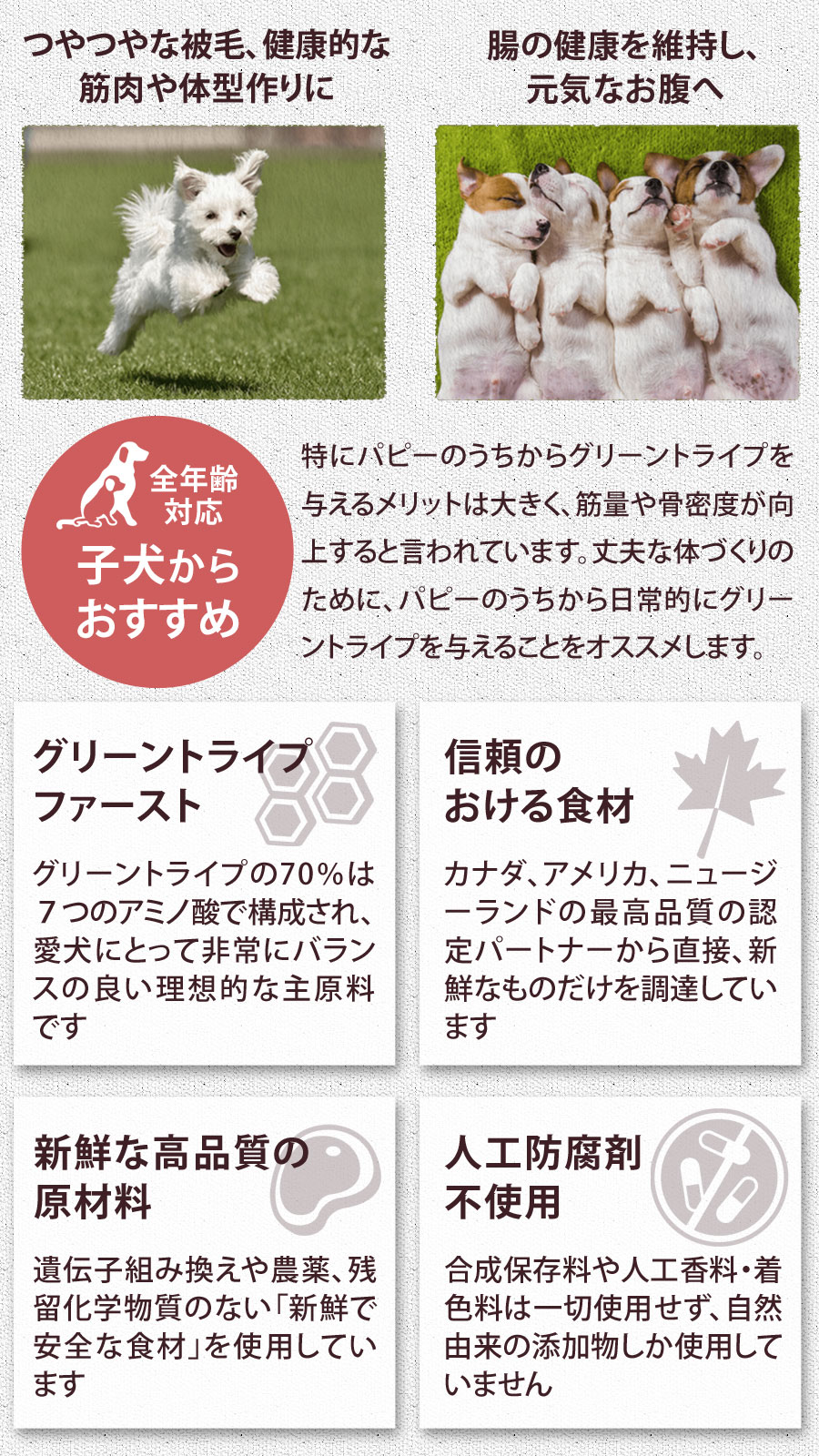 トライプドライ ドッグフード ラムトライプ SAP 小粒 2.72kg【国産たじま鶏ジャーキー(小サイズ)付き】 トライプドライ ドッグフード ラムトライプ SAP 小粒 2.72kg【国産たじま鶏ジャーキー(小サイズ)付き】