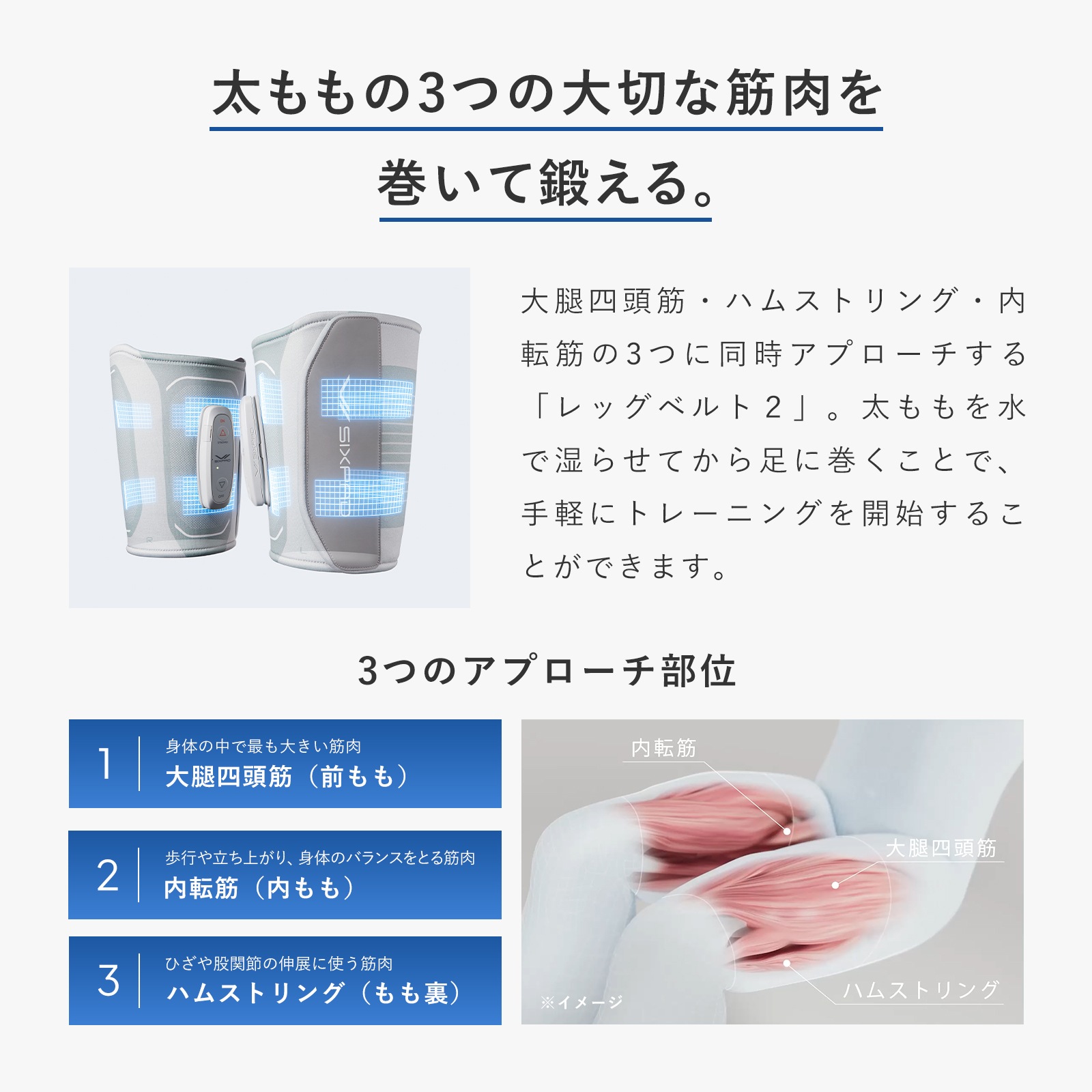 【SIXPAD公式】シックスパッド レッグベルト2 筋トレ 自宅 トレーニング 運動器具 室内 在宅勤務 運動不足 トレーニング器具 筋肉 ジェル不要 【SIXPAD公式】シックスパッド レッグベルト2 筋トレ 自宅 トレーニング 運動器具 室内 在宅勤務 運動不足 トレーニング器具 筋肉 ジェル不要