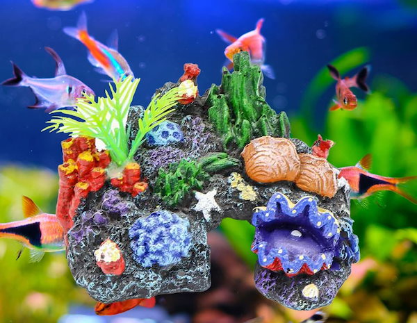 Qoo10] 水槽オブジェ 隠れ家 アクアリウム 珊瑚