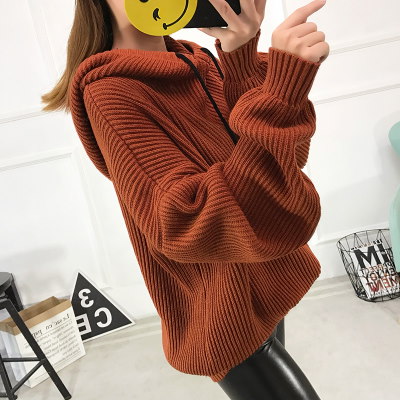 秋冬 ニット フード付き ゆったり 学生 個性 シンプル レディーズ女性 カジュアル ファッション 合わせやすい 秋冬 ニット フード付き ゆったり 学生 個性 シンプル レディーズ女性 カジュアル ファッション 合わせやすい
