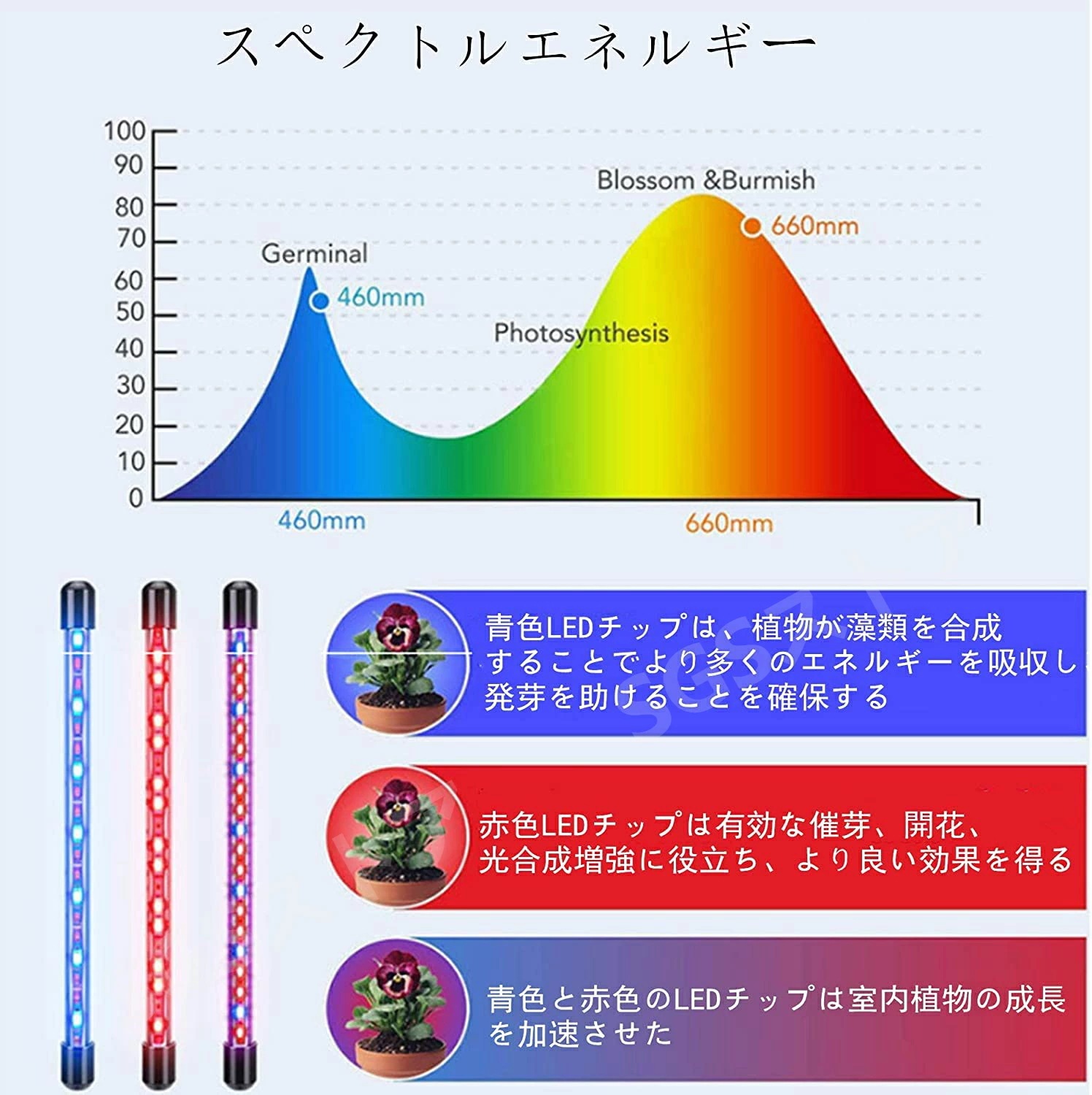 植物育成ライトLED 植物成長ランプ 育苗ライトled 水草ライト 室内観葉植物ライト 水耕栽培用ランプ 植物用ledライト 多肉植物育成ライト 白色 温室 室内園芸 水草栽培 野菜工場 農業&園芸用 植物育成ライトLED 植物成長ランプ 育苗ライトled 水草ライト 室内観葉植物ライト 水耕栽培用ランプ 植物用ledライト 多肉植物育成ライト 白色 温室 室内園芸 水草栽培 野菜工場 農業&園芸用