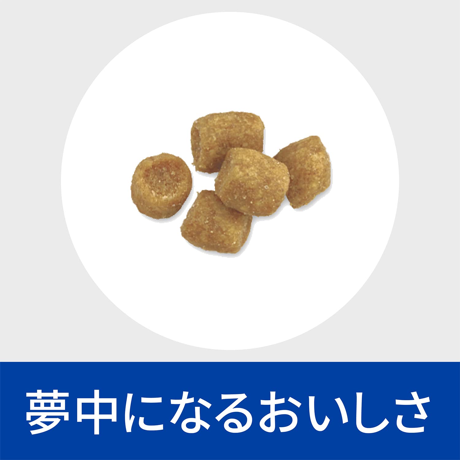 ヒルズ プリスクリプションダイエット キャットフード ドライ c/d シーディー マルチケア フィッシュ入り 尿ケア 猫用 特別療法食 2kg
