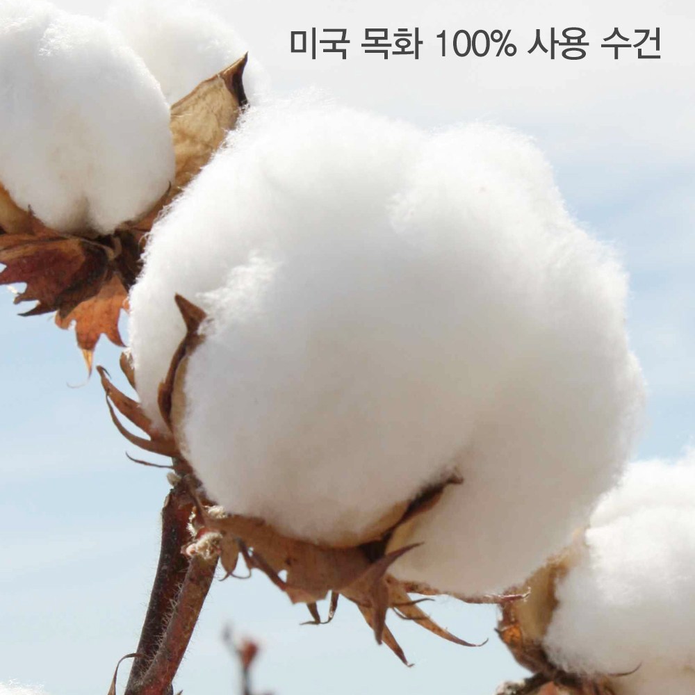 ホテルタオル 200g 30番手 10個