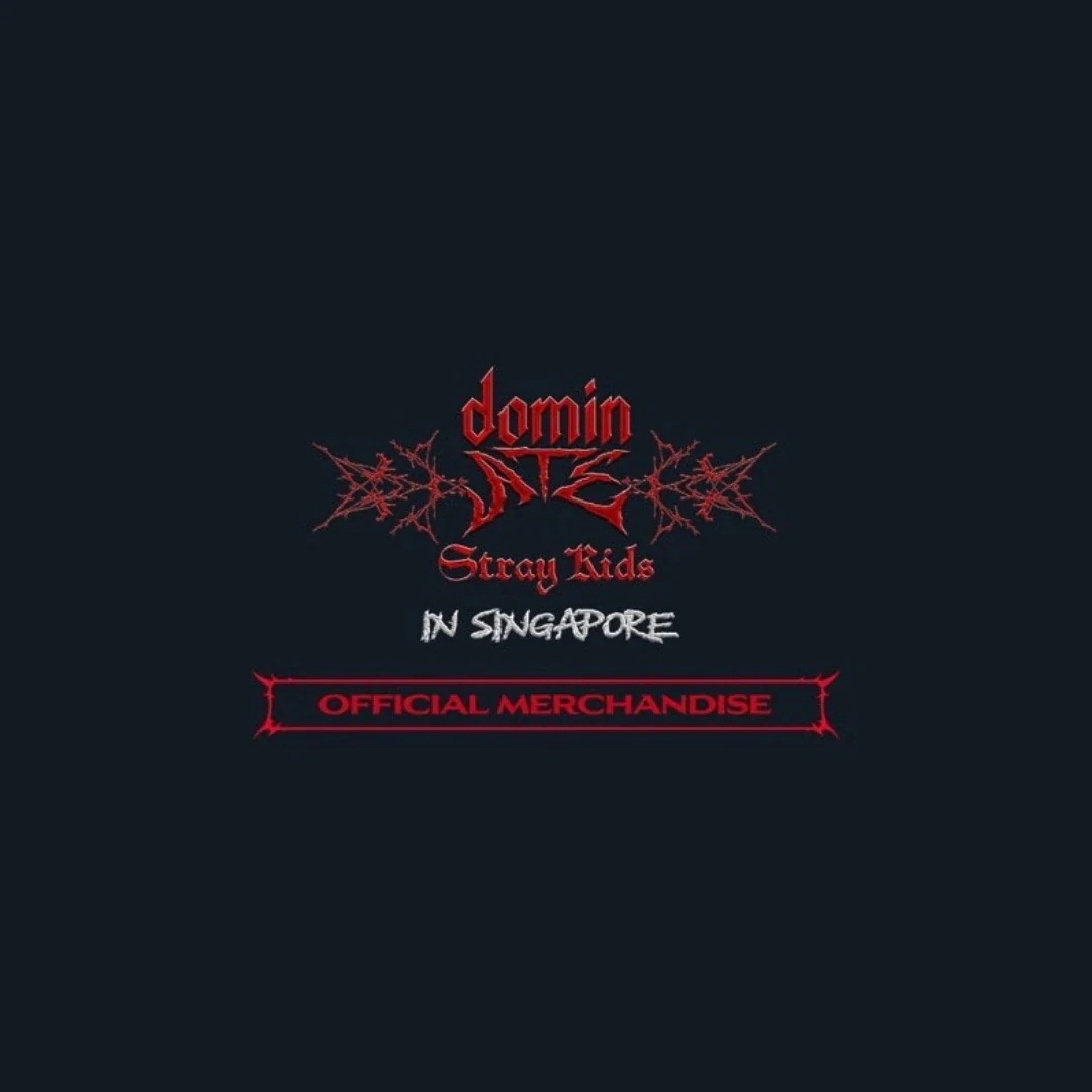 【 すぐ発送 】 【 公式 】 Stray Kids スキズ [ dominATE IN SINGAPORE ] DENIM TOTE ト- トバッグ コンサート グッズ POP-UP