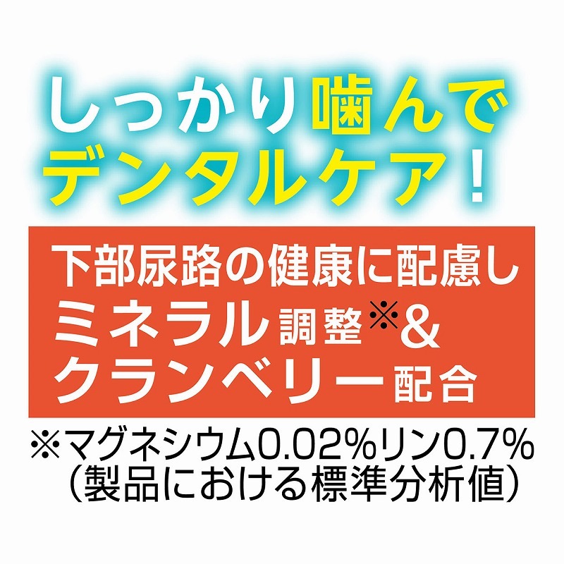 （まとめ買い）プラクト ねこちゃんの 7歳からの歯みがきデンタルガム まぐろ味 10g 猫用おやつ [x20]