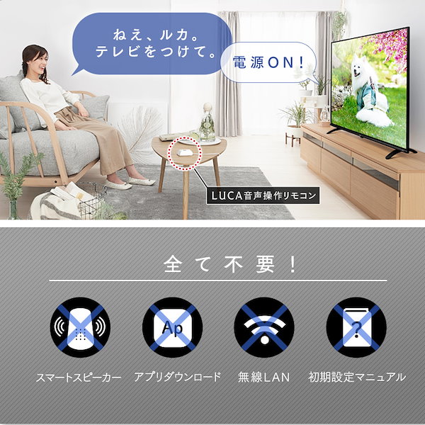 Qoo10] アイリスオーヤマ 音声操作 4K対応液晶テレビ LUCA