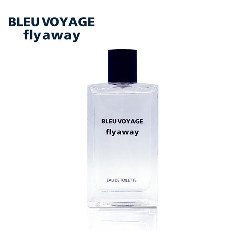 ブルー ヴォヤージュ フライ アウェイ BLEU VOYAGE FLY AWAY EDT SP 100ml 【香水 メンズ レディース】 ブルー ヴォヤージュ フライ アウェイ BLEU VOYAGE FLY AWAY EDT SP 100ml 【香水 メンズ レディース】