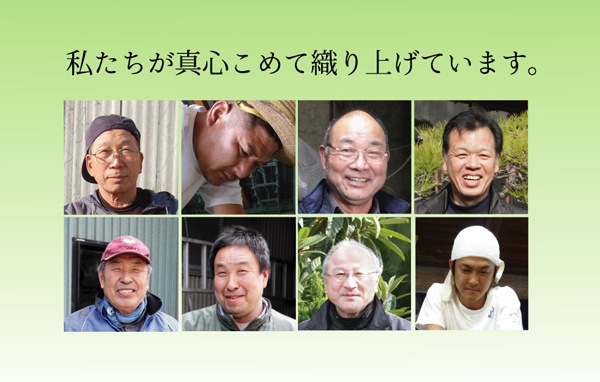 純国産/日本製 イ草花ござカーペット 『かれん』 ブルー 江戸間4.5畳（約261x261cm）