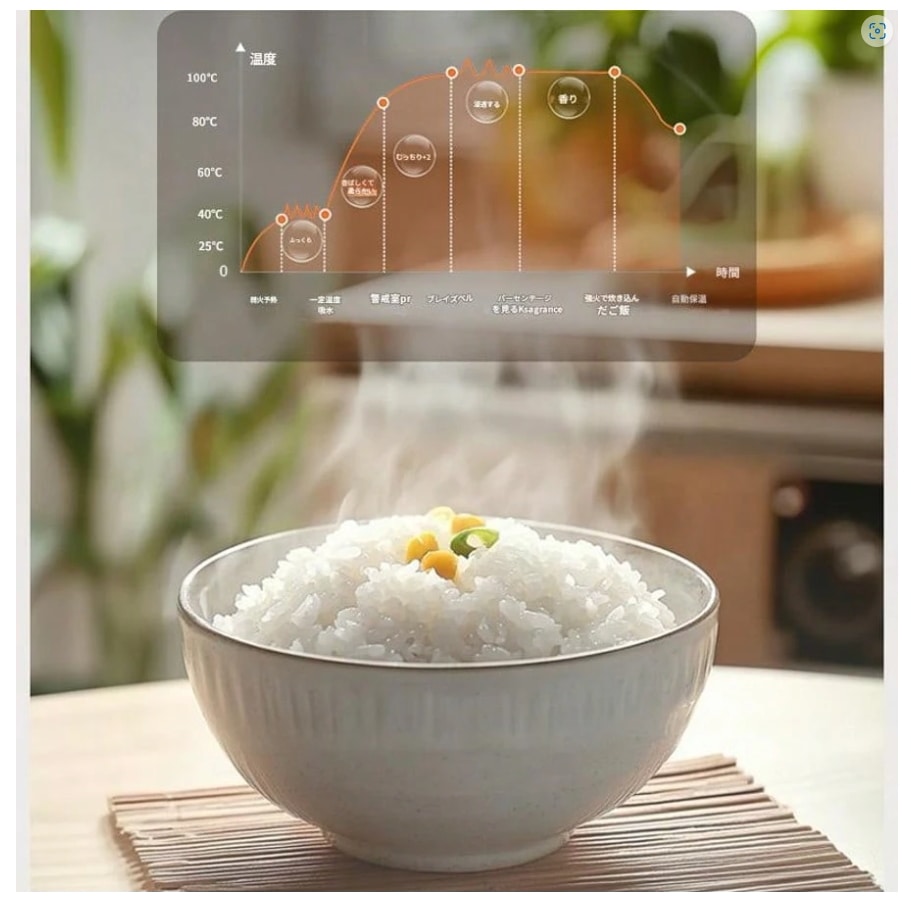 コンパクト＆多機能シングル用炊飯器：3～4カップ対応1～2人用低温調理遅延タイマー付き24時間保温機能白米/玄米/ミックスグレイン/オートミール対応マイクロ波対応省エネ350W2L容量