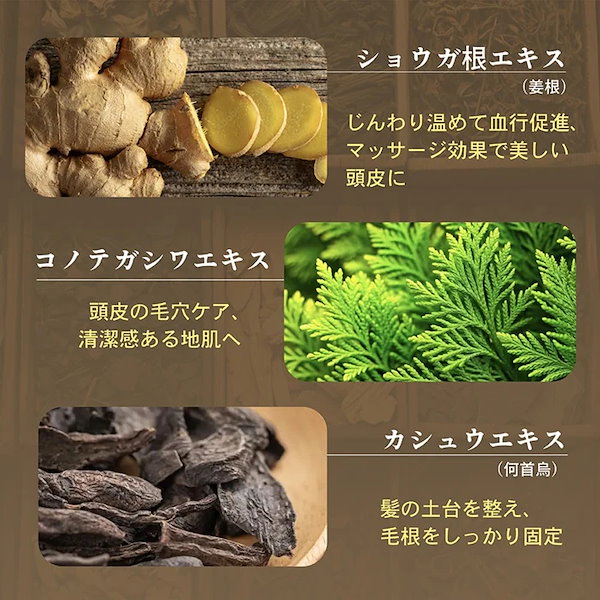 Qoo10] 【セット】 Seika全 シャンプー コ
