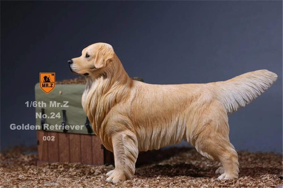 Mr.Z 1/6 サイズ ゴールデン・レトリバー 可愛い 犬 動物 リアル フィギュア PVC プラモデル おもちゃ 模型 22.5cm級 オリジナル スタチュー 犬好き 誕生日 プレゼント 置物