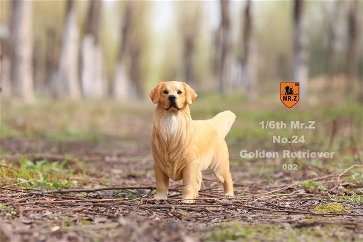 Mr.Z 1/6 サイズ ゴールデン・レトリバー 可愛い 犬 動物 リアル フィギュア PVC プラモデル おもちゃ 模型 22.5cm級 オリジナル スタチュー 犬好き 誕生日 プレゼント 置物