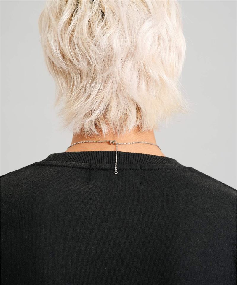 LH-1 ウナ&ライオン コインネックレス サージカルステンレス316L 金属アレルギー対応 03NE0505SV ステンレスネックレス メンズ 人気ブラ LH-1 ウナ&ライオン コインネックレス サージカルステンレス316L 金属アレルギー対応 03NE0505SV ステンレスネックレス メンズ 人気ブラ