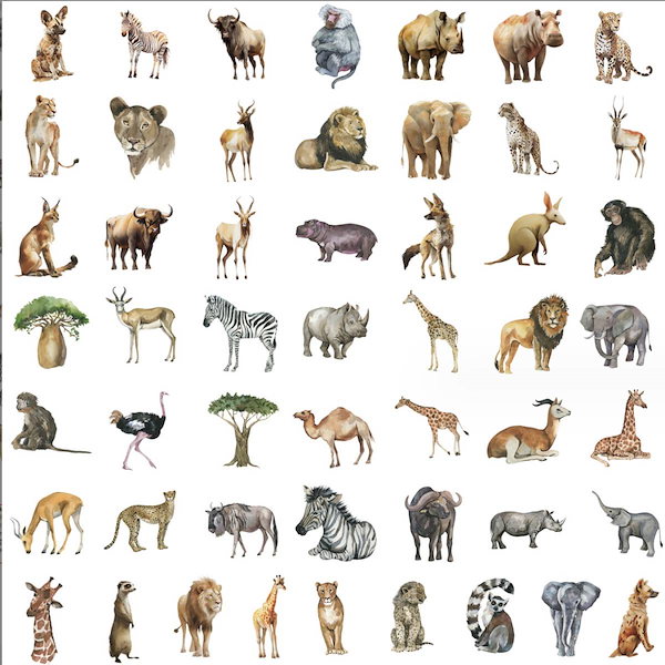 Qoo10] 動物大集合 野生動物 人気動物 動物園