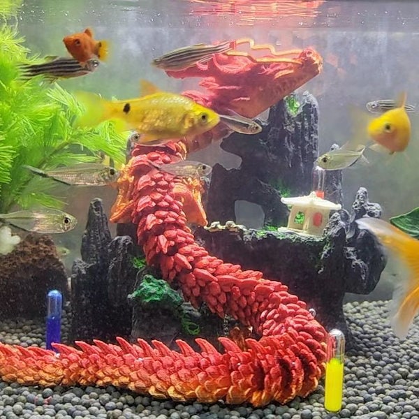 ピラルク★35センチ★人気のレッドピラルク ピラルク飼育☆赤の発色について！ - 大型魚飼育 in 神秘の国インドネシア