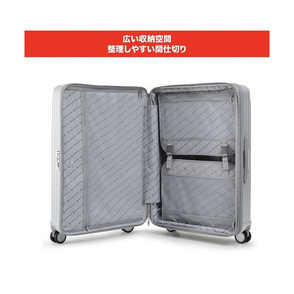 エム/エス/シーSWISS MILITARY CYGNUS（シグナス） 98L メタルシルバー SM-A828 1台