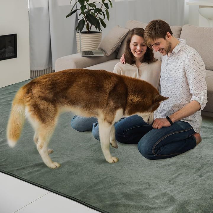 洗えるペットシーツ ペットマット おしっこマット ペット用 トイレ(ライトグリーン, 150x90CM「2枚」ライトグリーン)