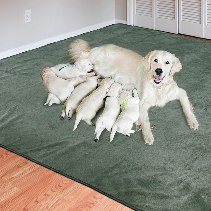 洗えるペットシーツ ペットマット おしっこマット ペット用 トイレ(ライトグリーン, 150x90CM「2枚」ライトグリーン)