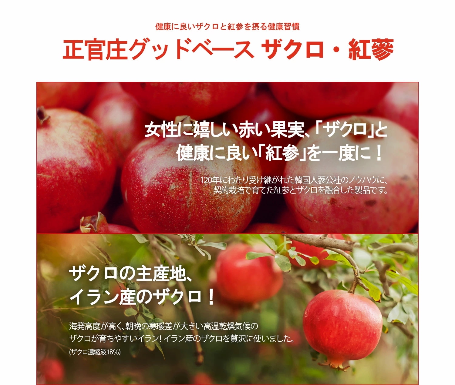 【正官庄　日本公式】ザクロ紅参(ホンサム) 50ml 30袋 / 正官庄（ジョンガンジャン）紅参（ホンサム）6年根 高麗人参