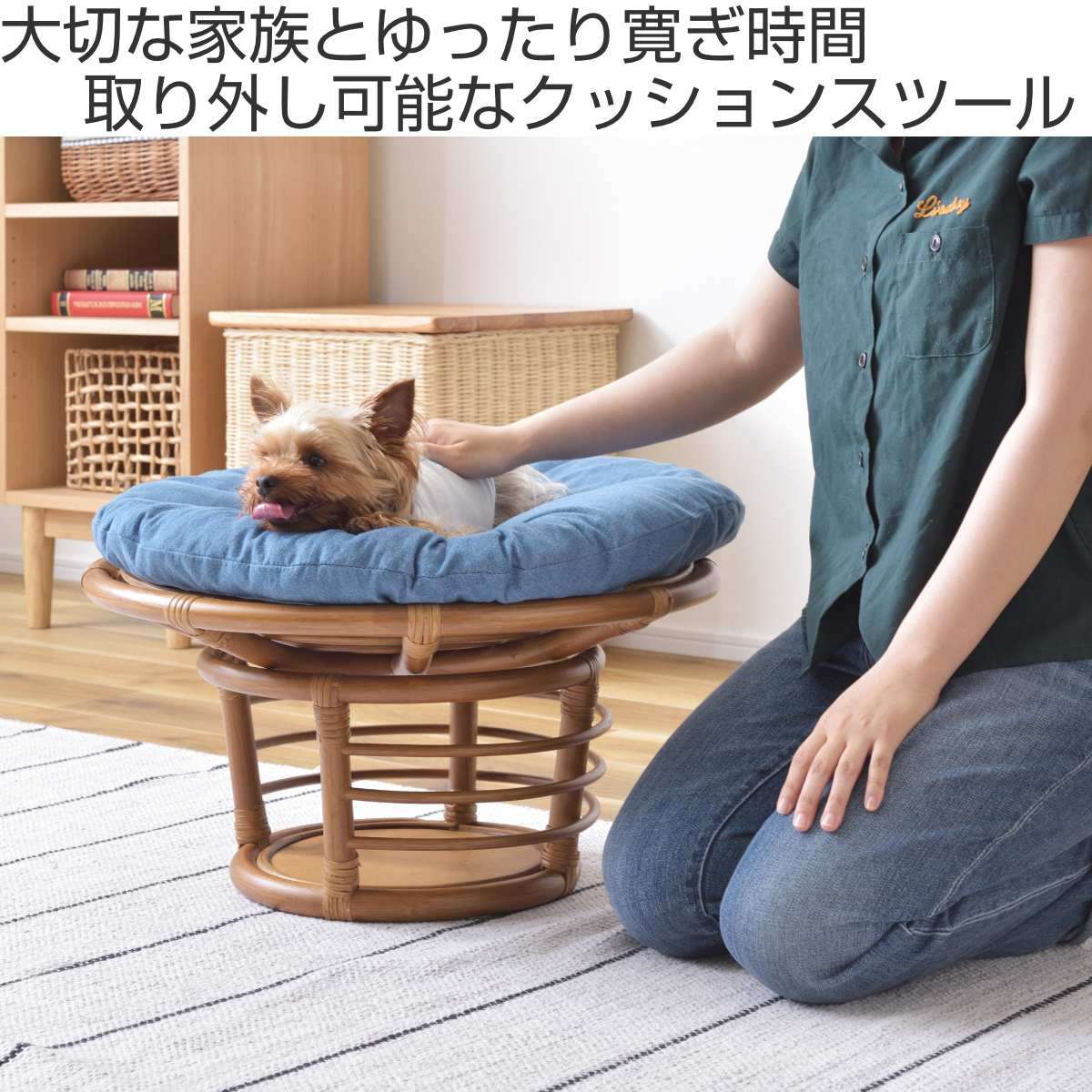 ペットスツール クッション付 籐フレーム 約幅55cm ペットスツール クッション付 籐フレーム 約幅55cm