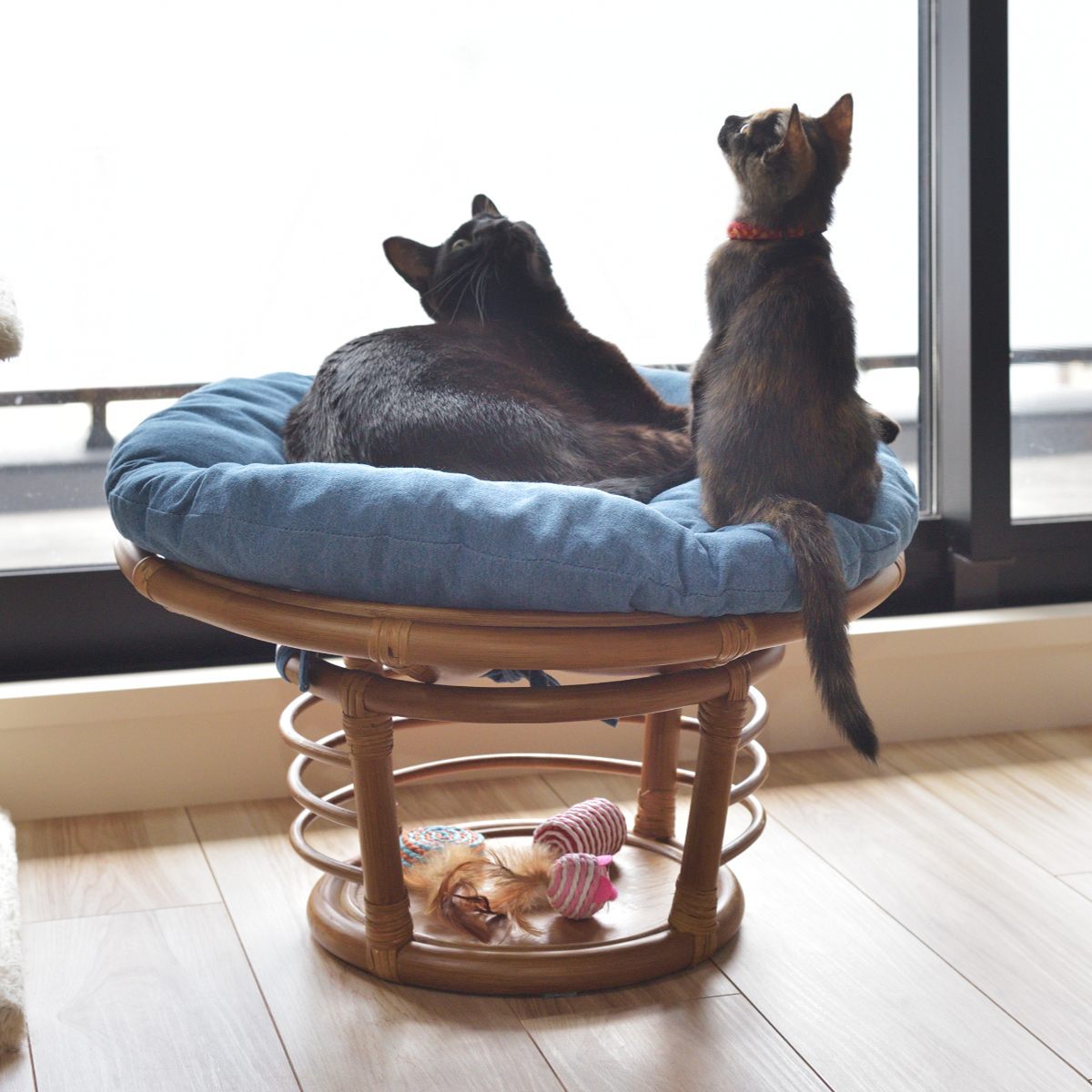 ペットスツール クッション付 籐フレーム 約幅55cm ペットスツール クッション付 籐フレーム 約幅55cm