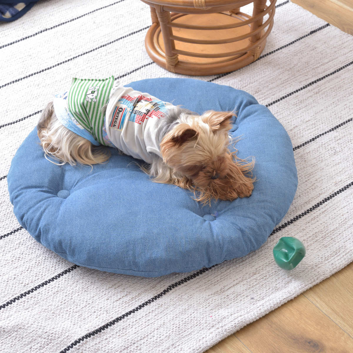 ペットスツール クッション付 籐フレーム 約幅55cm ペットスツール クッション付 籐フレーム 約幅55cm