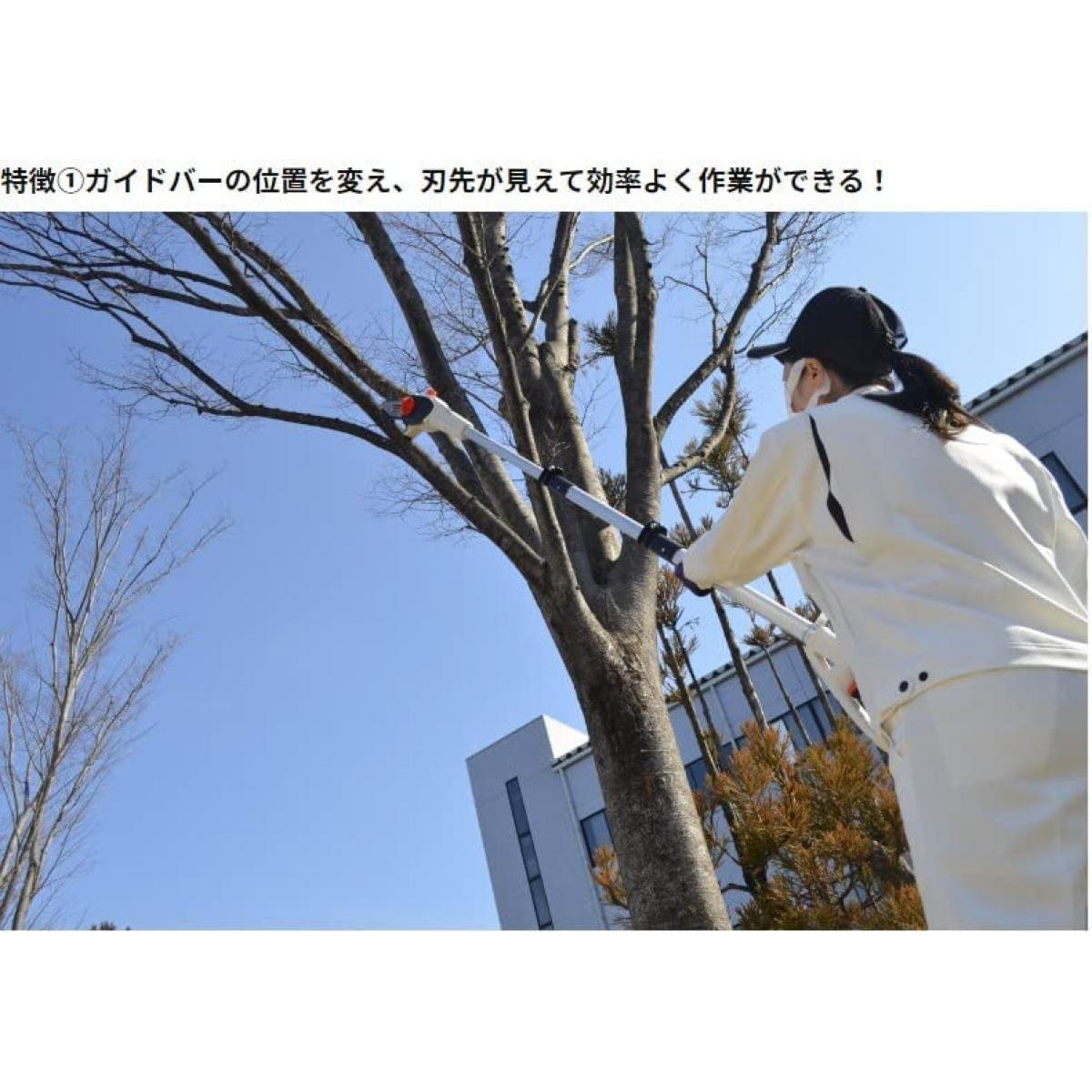 工進(KOSHIN) 18V 充電式伸縮ポールチェンソー SPS-180T-AAA-0 バッテリー・充電器付 剪定 高枝 軽量 スマートコーシンシリーズ 工進(KOSHIN) 18V 充電式伸縮ポールチェンソー SPS-180T-AAA-0 バッテリー・充電器付 剪定 高枝 軽量 スマートコーシンシリーズ