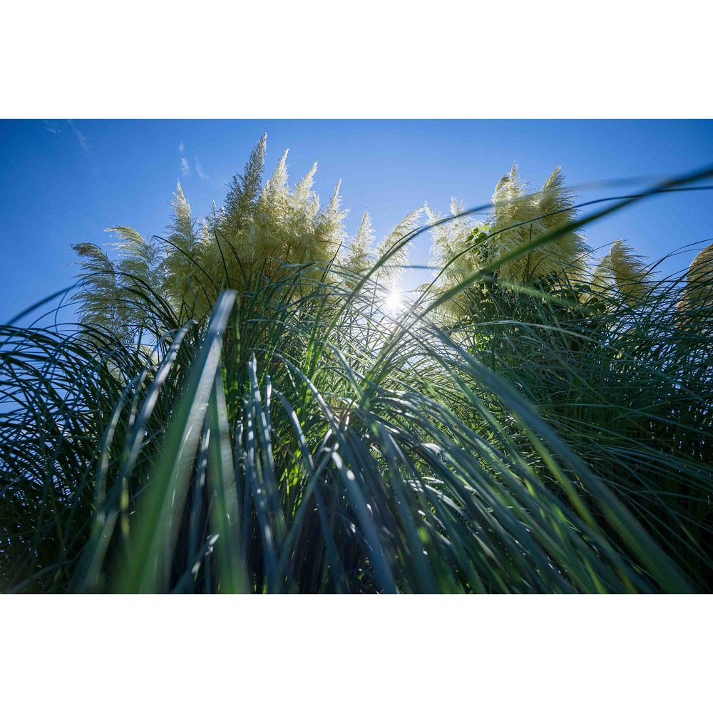 タムロン TA11-20DI3キヤノンB060RF 11-20mm F/2.8 Di III-A RXD (Model：B060) TA1120DI3キヤノンB060RF