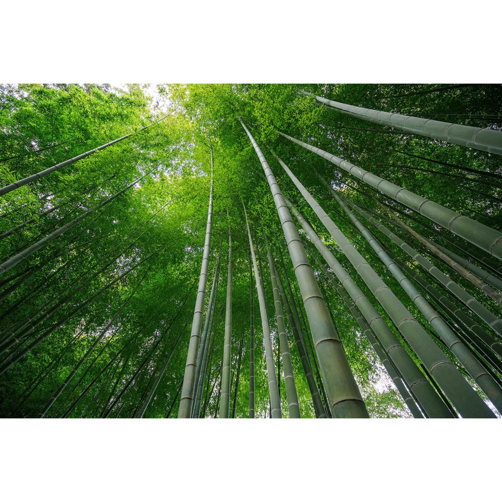 タムロン TA11-20DI3キヤノンB060RF 11-20mm F/2.8 Di III-A RXD (Model：B060) TA1120DI3キヤノンB060RF