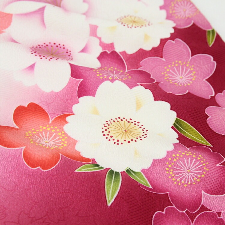 レンタル卒業式 袴 レンタル 女 袴セット 女 卒業式袴セット 正絹 振袖 着物&袴 フルセットレンタル 安い 白地にピンクぼかし 桜 雪輪 花ハカマ はかま rental レンタル卒業式 袴 レンタル 女 袴セット 女 卒業式袴セット 正絹 振袖 着物&袴 フルセットレンタル 安い 白地にピンクぼかし 桜 雪輪 花ハカマ はかま rental